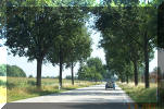 Flat tree lined roads