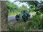 June 2025 Picture of the Month