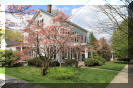 Higtstown NJ — ornate colonial homes and Dogwoods