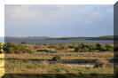 The Coorong