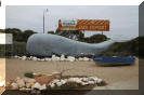 Eucla whale