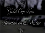 Video clip #3: GoldCup1997
