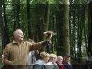 Ivo with falcon