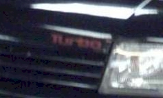 MG Montego bonnet decal