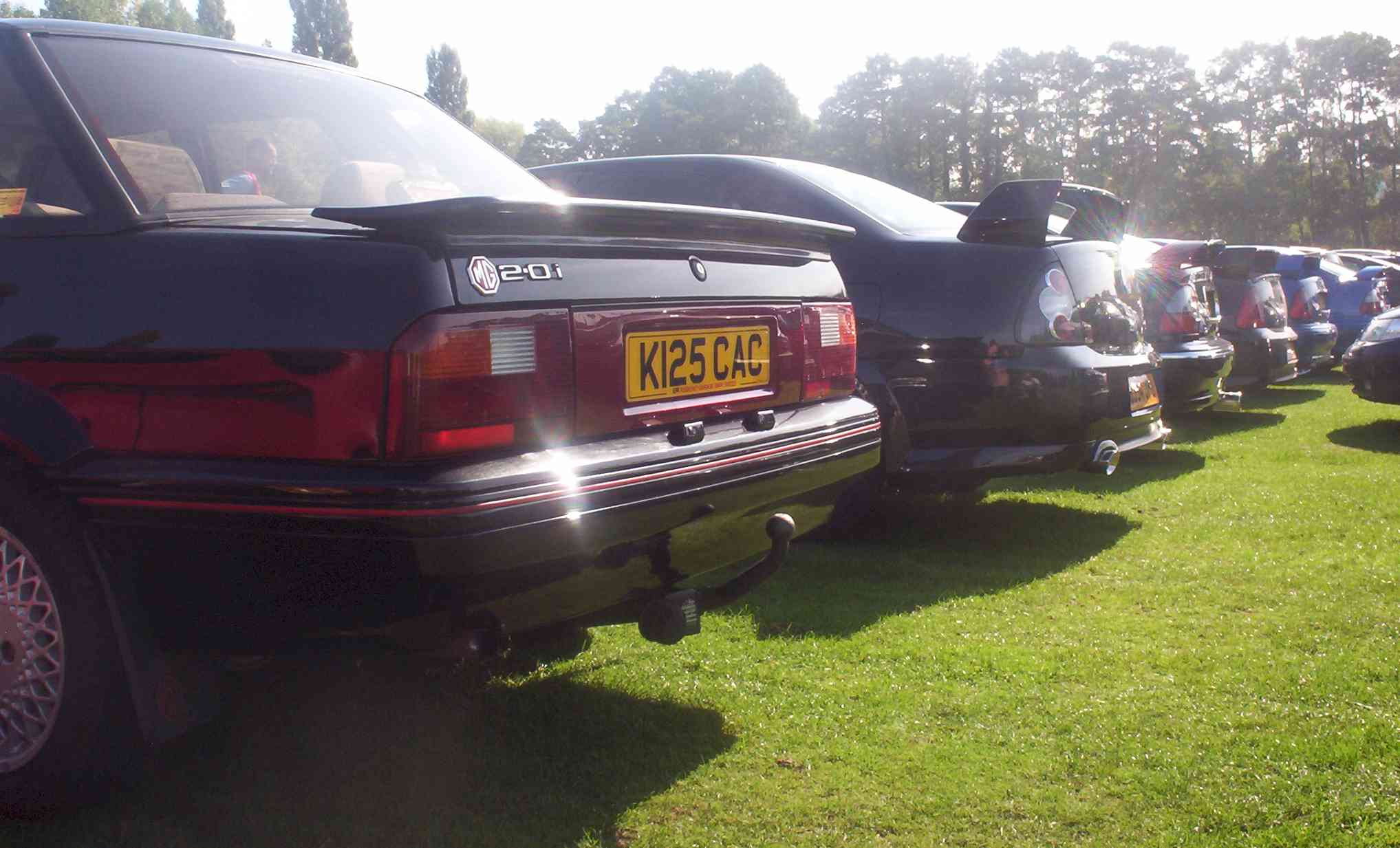 Rears