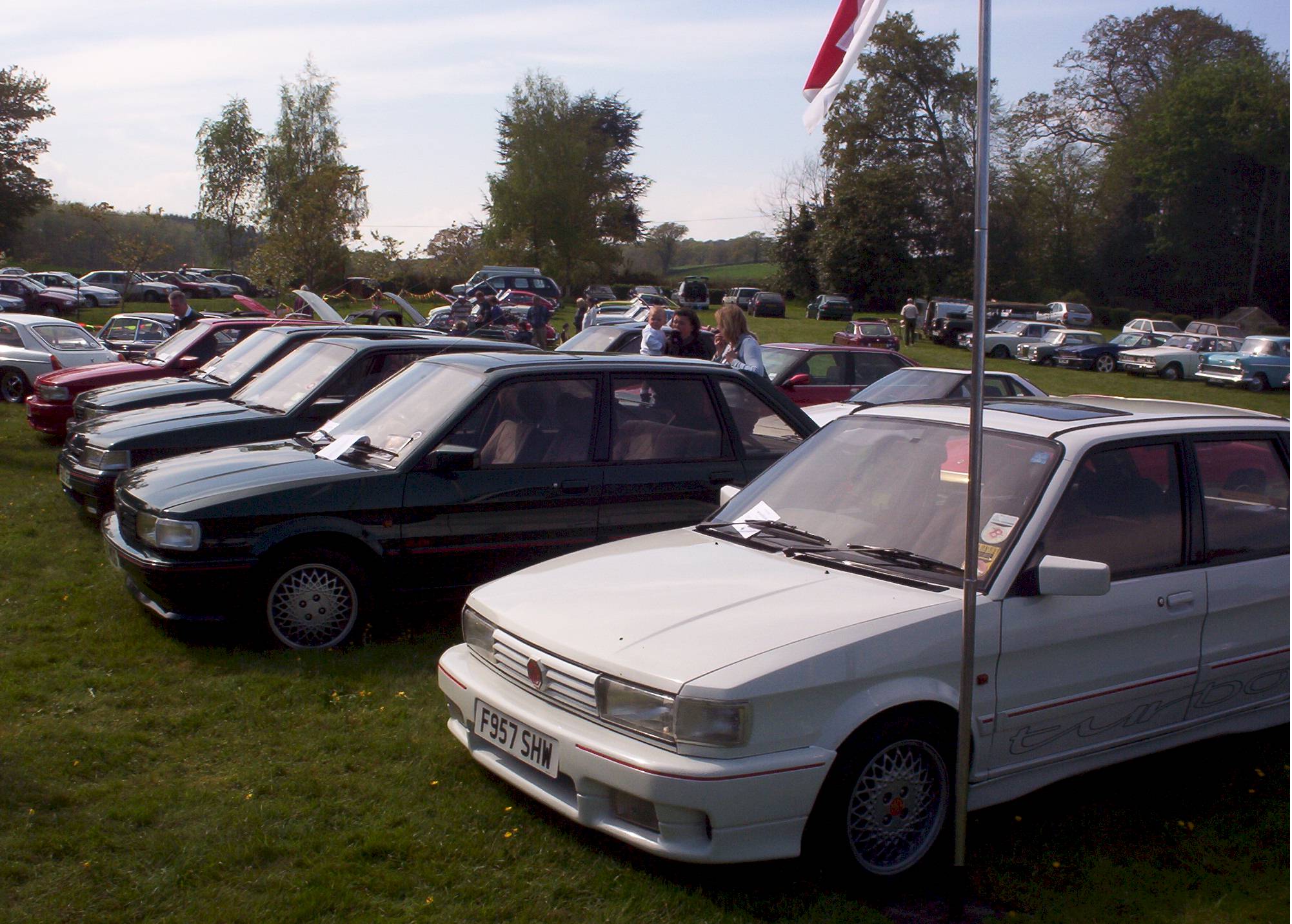 Lineup